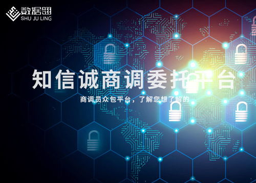 平?jīng)龃竺资袌稣{(diào)查全攻略 從目標到渠道的實踐指南